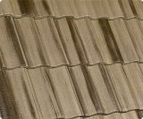 Teja Catalana Arena del Desierto