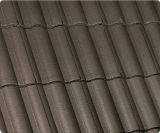 Teja Catalana Cafe Tostado